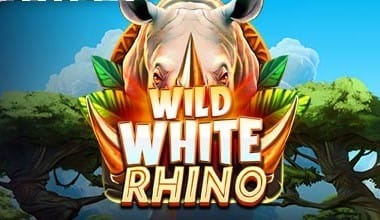 Wild White Rhino